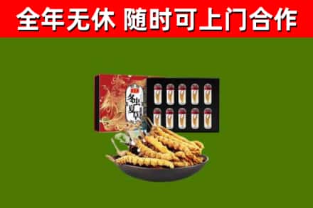 义马市烟酒回收冬虫夏草礼盒.jpg