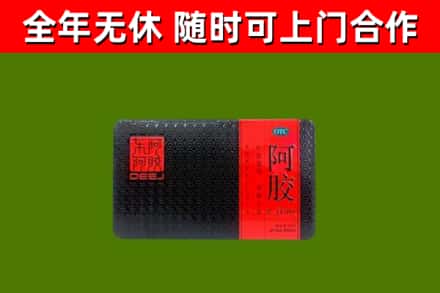 义马市回收阿胶